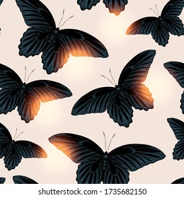 Vector pattern with high detailed black butterfly