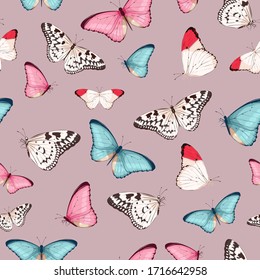 Vector pattern with high detailed tropic butterfly