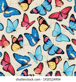 Vector pattern with high detailed tropic butterfly