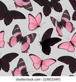 Vector pattern with high detailed tropic butterfly