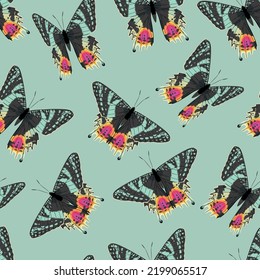 Vector pattern with high detailed tropic butterfly