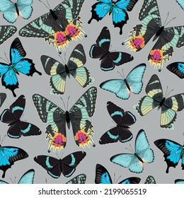 Vector pattern with high detailed tropic butterfly