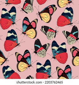 Vector pattern with high detailed tropic butterfly