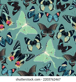 Vector pattern with high detailed tropic butterfly