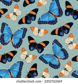 Vector pattern with high detailed tropic butterfly