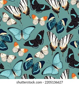 Vector pattern with high detailed tropic butterfly