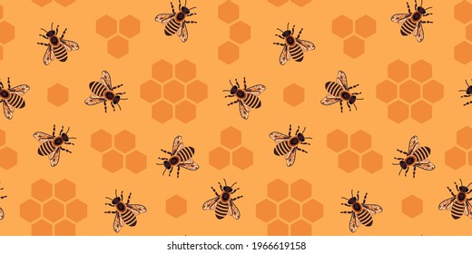 Vector pattern with honey bees. Honeycomb cells inside beehive. Beekeeping concept. Seamless background with bees.
