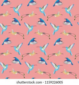 vector pattern with hummingbirds