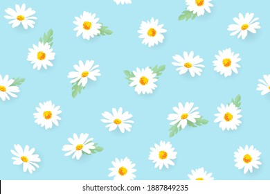 Vector pattern illusration white daisy flowers on a blue background. EPS10.