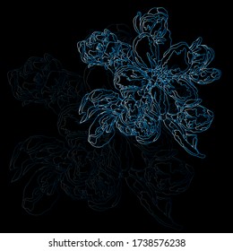 vector pattern illustration of a blooming apple tree with flower, buds and leaves blue outline on a black background