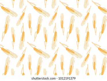 Vector pattern illustration hand drawn spring wheat in orange color. Malt beer background. Autumn harvest.