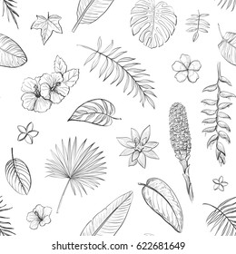 Vector pattern isolated tropical plants and flowers. Hand drawing the hawaiian leaves for your design. 