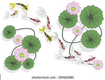 Vector pattern with koi fish and lilies