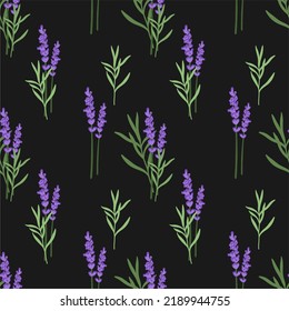 Vector pattern with lavender on a black background. Hand painting. Seamless pattern for fabric, paper and other print and web projects.