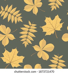 Vector pattern with leaves. Color illustration with autumn leaves. Tree with yellow leaves