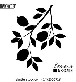 VECTOR PATTERN WITH LEMON BRANCH
