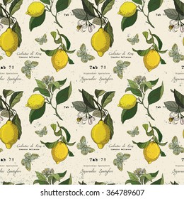 Vector pattern with lemon branches. Botanical collection,gardening design elements,flower ,leaves, butterflies. Background for card, poster, postcard,invitations,wedding, birthday party.