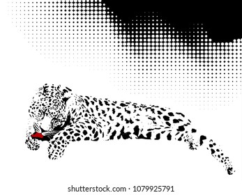Vector pattern of a leopard on a halftone