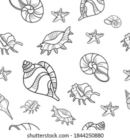 vector pattern line drawn shells on the white background