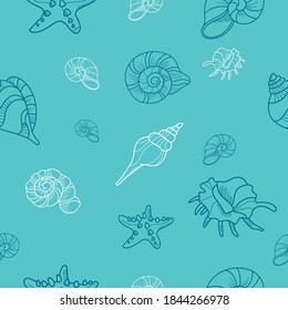 vector pattern line drawn shells on the aquamarine background