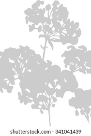 Vector pattern of Modern carpet