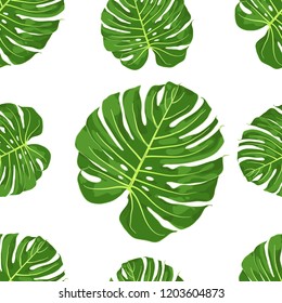 Vector Pattern of Monstera. Floral and Botanical Seamless. Pattern for Textile, Paper and etc