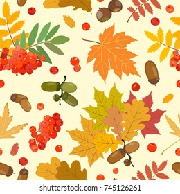 Vector pattern with multi-colored leaves of oak, maple, ash, rowan and ripe acorns and berries of mountain ash. Nuts and berries.