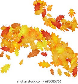 Vector pattern of oak leaves, rounded border illustration on white background. Autumn foliage, seasonal image. Red, yellow, orange and brown background leaf pattern.