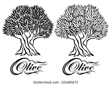 vector pattern with an olive tree for packaging