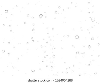 Vector pattern of rain clean water drops on white background. Pure realistic droplets condensed. Macro view