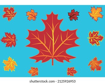 vector pattern with red and golden Canadian maple leaves.