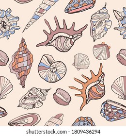Vector pattern with seashells on a light background. Sketch style seashells with color. Background for menu, fish restaurant design, hotel spa, surfing boards. Printing on fabric, paper for packaging.