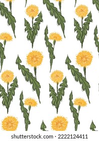 Vector pattern with sketched yellow dandelions with leaves on white background. Botanical scrawl floral texture for fabrics. Wallpaper with scribble taraxacums