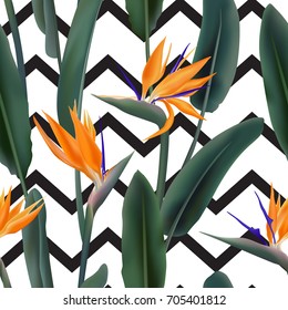 Vector pattern with Strelitzia Reginae blossom also known as crane flower or bird of paradise. South African flowering plant striped background illustration. Fabric print, textile, wrapping paper.