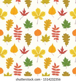 Vector pattern with stylized leaves of different colors on a light background. Natural illustration. Autumn.