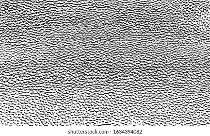 vector pattern the texture of the skin of the animal. genuine leather