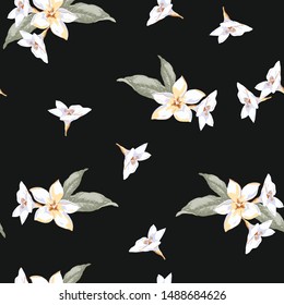 Vector Pattern with tropical flowers and leaves on black background. Background with Plumeria  flowers