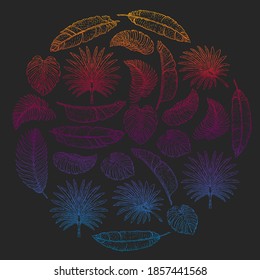 Vector pattern with tropical leaves. Palm tree. Philodendron. Cute vintage garden.