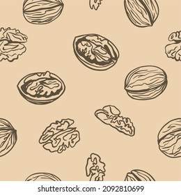 Vector pattern with walnuts drawn by hand