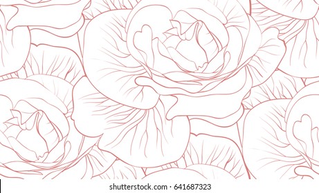 vector pattern white roses