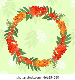 Vector pattern with a wreath made from clusters of bright ashberry, sea buckthorn and leaves. Card.