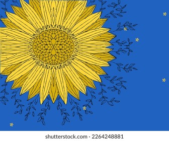 Vector pattern with yellow sunflower on blue background. Ukrainian flag colors. Hand drawing. Perfect for card, invitation, placard, banner, graphic art, printing etc.