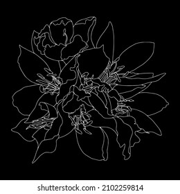 vector patterns bouquet flowers with leaves. Botanical illustration for wallpaper, textile, fabric, clothing, paper, postcards