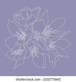 los patrones vectoriales son flores de ramo con hojas. Ilustración botánica para papel pintado, ropa, papel, postales