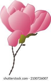 Vektormuster von Magnolienblumen mit Ästen und Blättern. Botanische Illustration für Tapeten, Textilien, Bekleidung, Papier, Postkarten