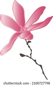 patrones vectoriales de flores de magnolia con ramas y hojas. Ilustración botánica para papel de pared, textiles, tela, ropa, papel, postales