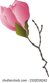 vector patterns of magnolia flowers with branches and leaves. Botanical illustration for wallpaper, textile, fabric, clothing, paper, postcards