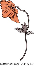 patrones vectoriales de flores de amapola con hojas. Ilustración botánica para papel de pared, textiles, tela, ropa, papel, postales