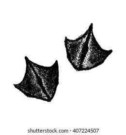 Vector paw print. Animal paw. Duck paw print