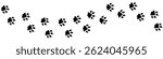 Vector paw trail of wild animal footprint. Lion tracks in silhouette isolated on white background. Long horizontal illustration with lion, dog, wolf or other animal footsteps.